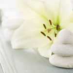 canstockphoto scaled