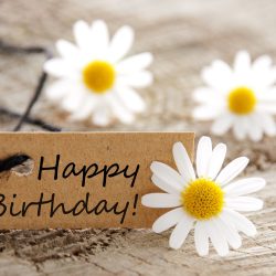 canstockphoto scaled