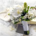 canstockphoto scaled