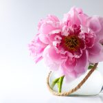 canstockphoto scaled