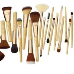 brushes