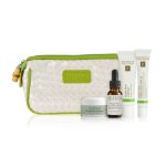 eminence organics bright skin starter set bag with products pdp