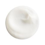 Echinacea Recovery Cream - Image 2